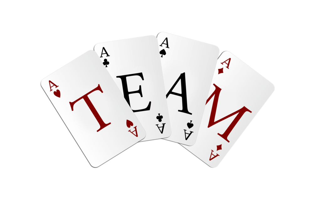 Belbin's model - Building a high performing team